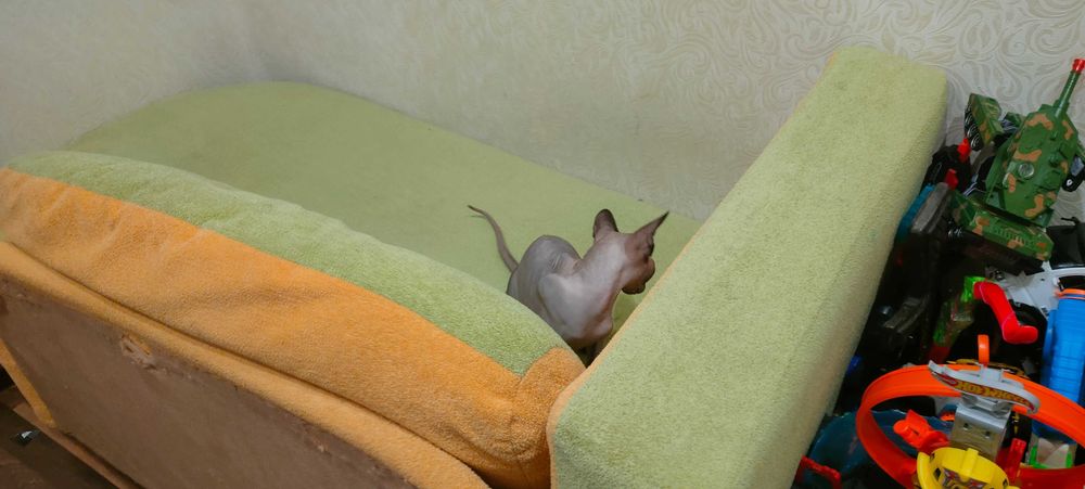 Диван одномісний дитячий.