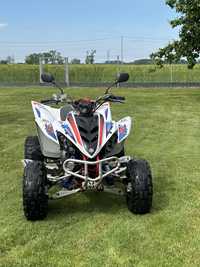 Yamaha raptor 350