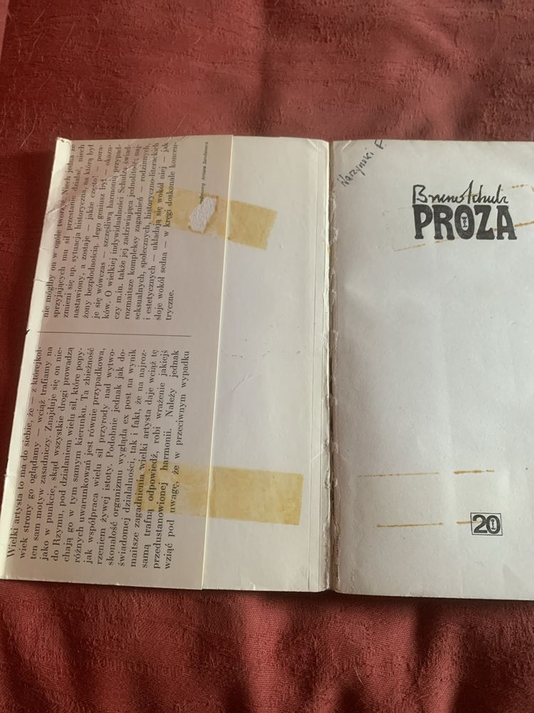 Bruno Schulz, Proza