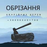 Обрізання зрізання обрізка дерев зріз зрізка спил валка Горохів район