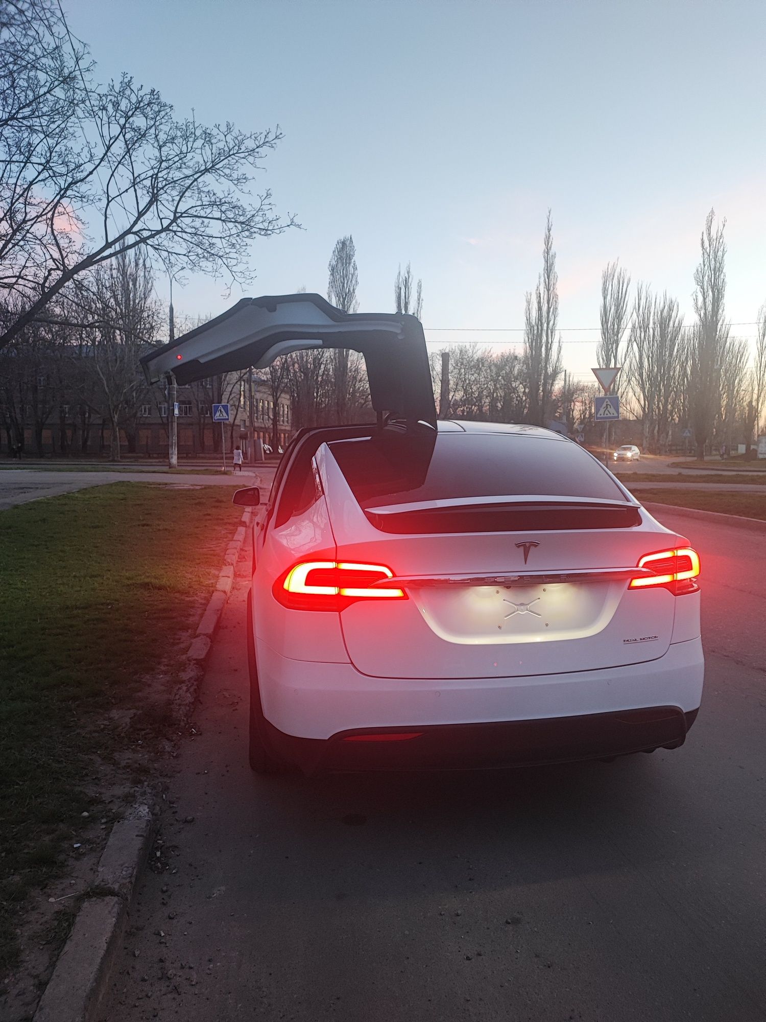 Tesla model X performance 2019