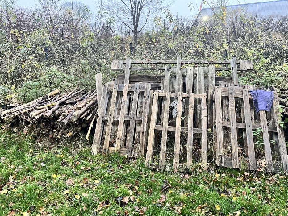 Oddam za darmo drewno na opał