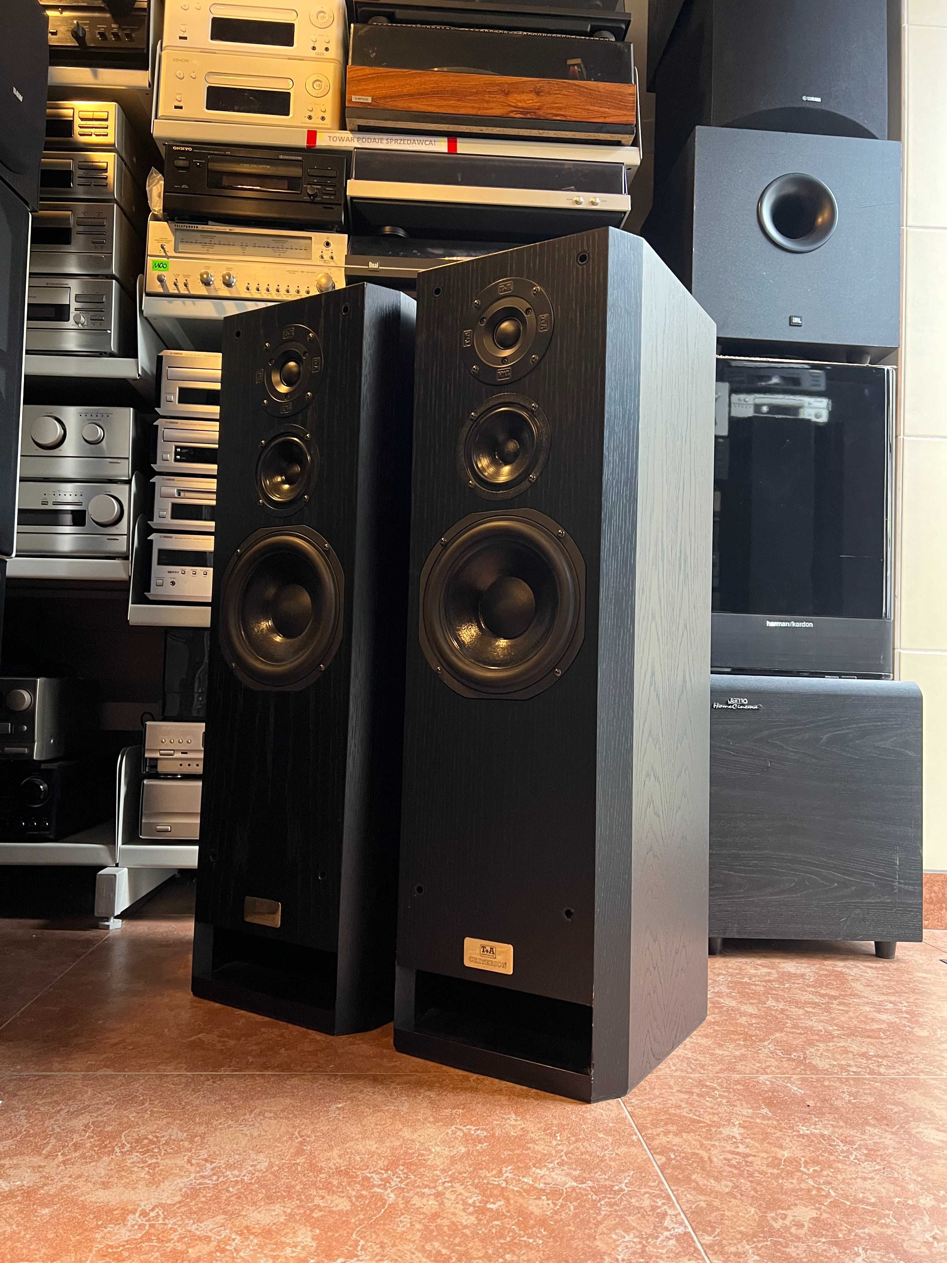 Kolumny podłogowe T+A Criterion TMR60 Audio Room