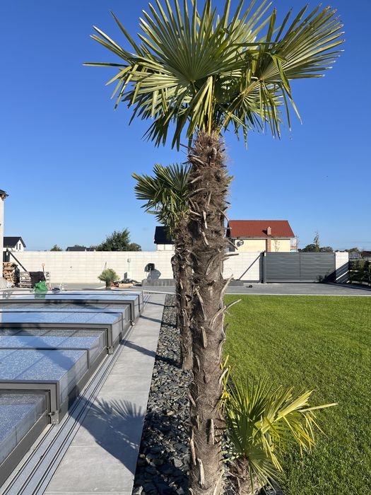 Zakładanie ogrodów, trawników, nawadnianie glebogryzarka separacyjna,