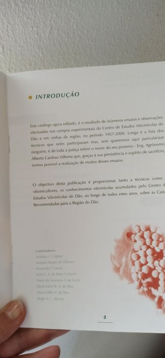 Catálogo castas recomendadas da Região do Dão