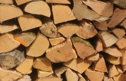Drewno BUK z darmową dostawą