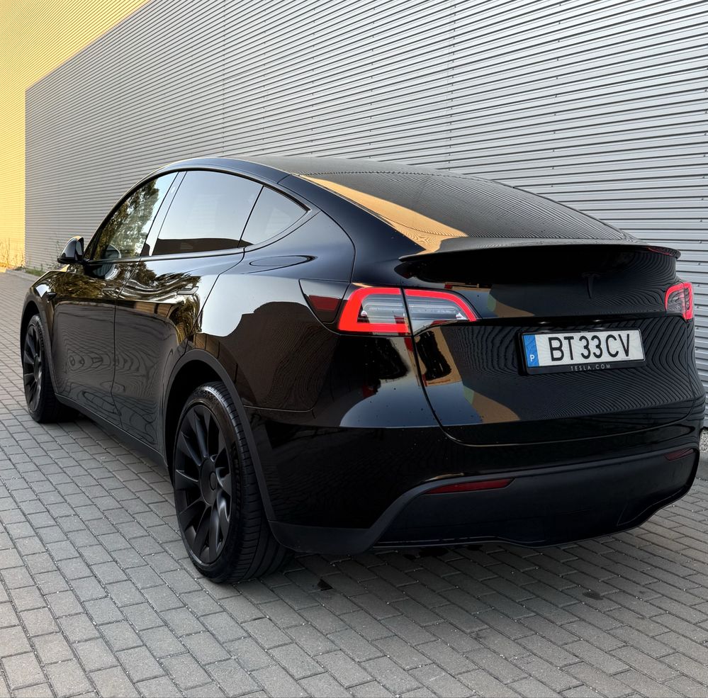 Tesla Model Y RWD