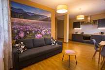 Apartamenty Koślówka Biały Dunajec Tatry