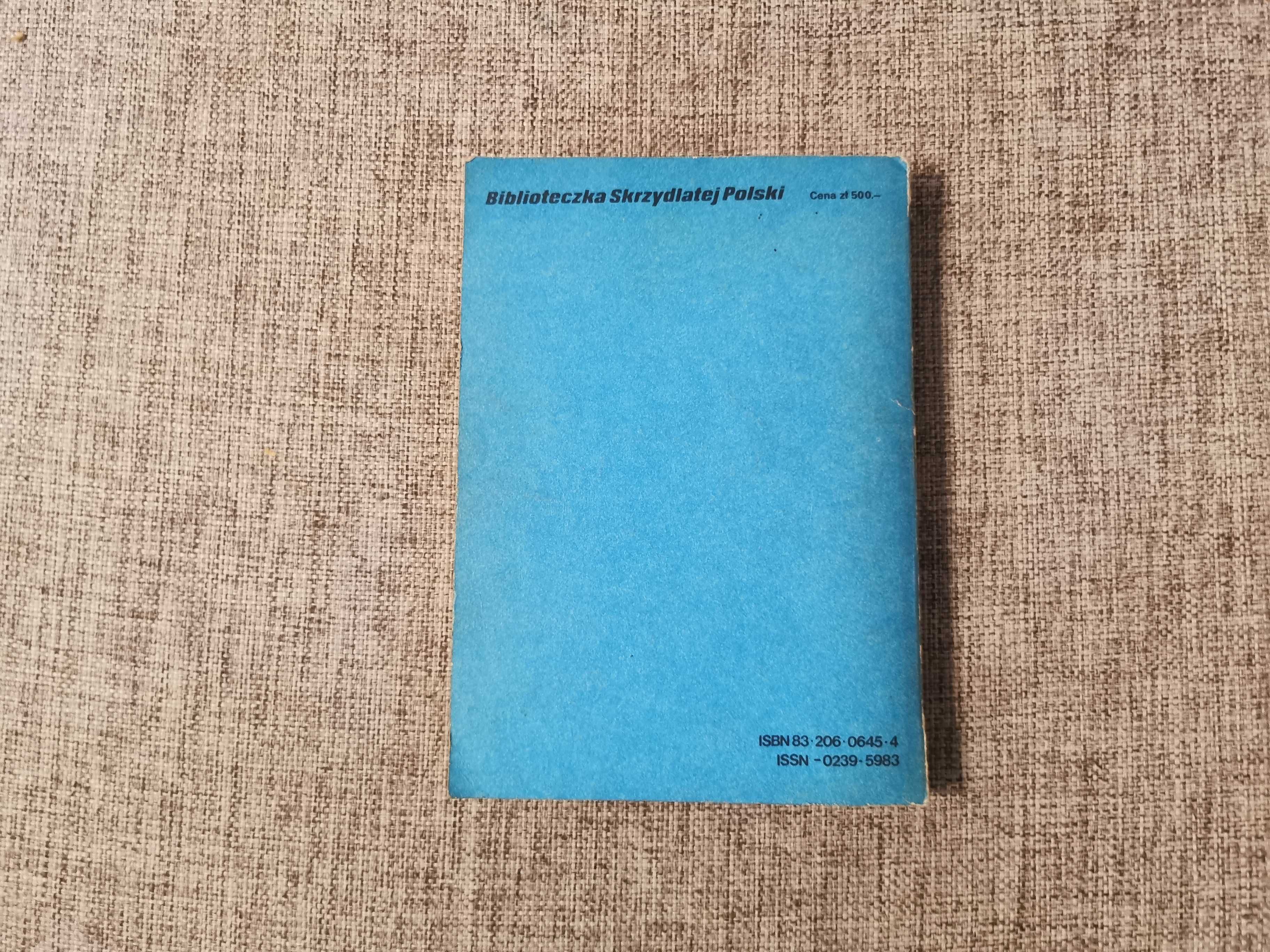 J. Grzegorzewski - Współczesne samoloty myśliwskie