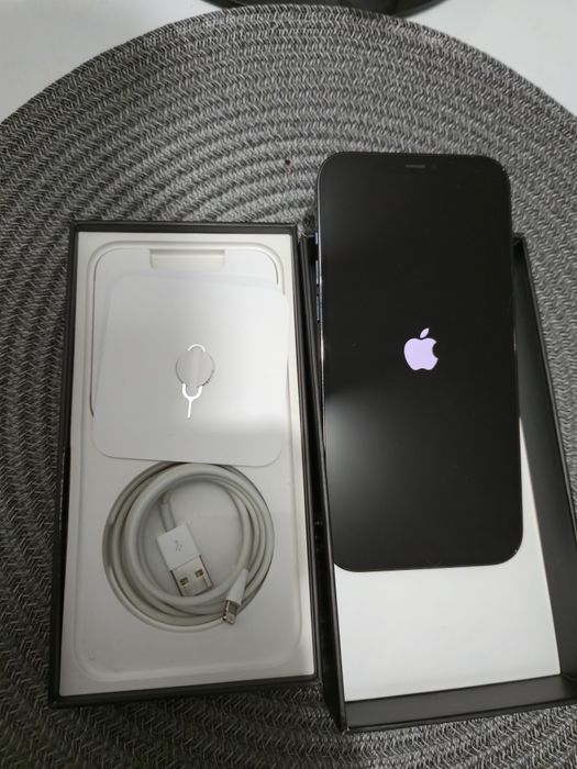 iPhone 12 Pro Max 256Gb Pacific Blue