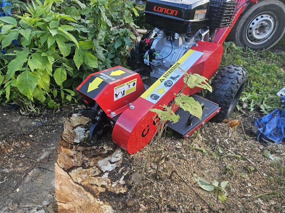 Usługi karczowania oraz usuwania pni