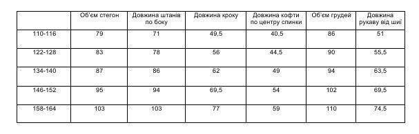 ‼️Флісовий костюм на дівчинку. Фліс ПОЛАР. Розміри від 110 до 164