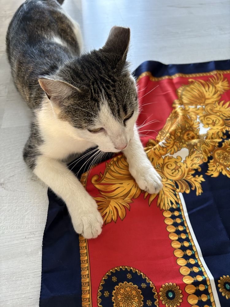 Apaszka jak versus versace barok zdobiona satyna