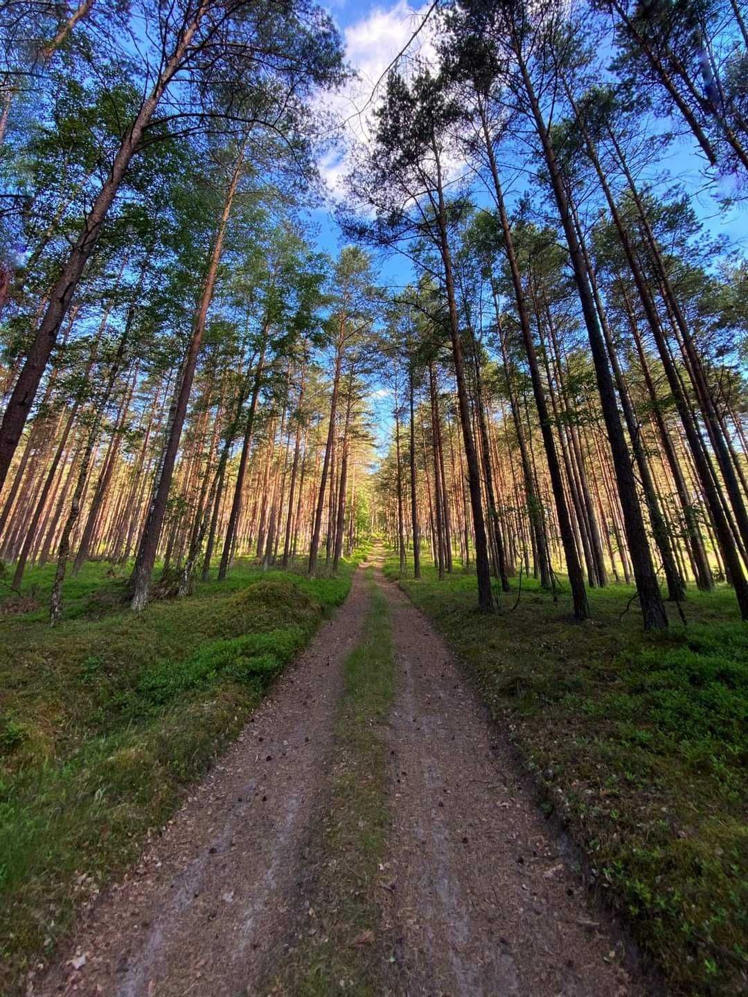 Domek nad jeziorem z basenem na Kaszubach - Ostoja Bukowo, Kaszuby