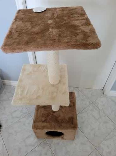 arranhador para gatos sempreviva