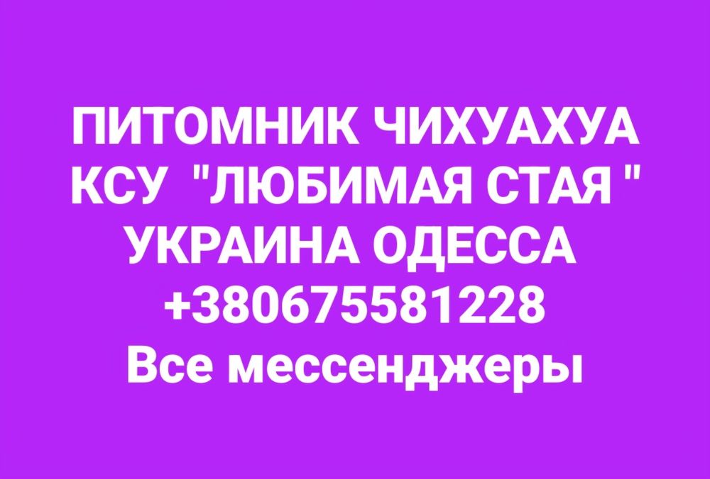 Мальчик зелёная повязка