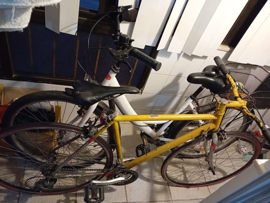 Vendo  bicicletas.