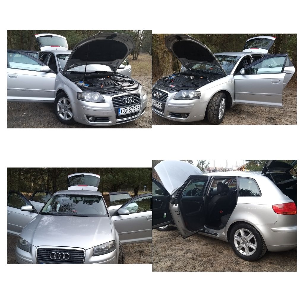 AUDI A3 8PA Sportback 1.9 TDI R4 (WEBASTO , Radio controlled)