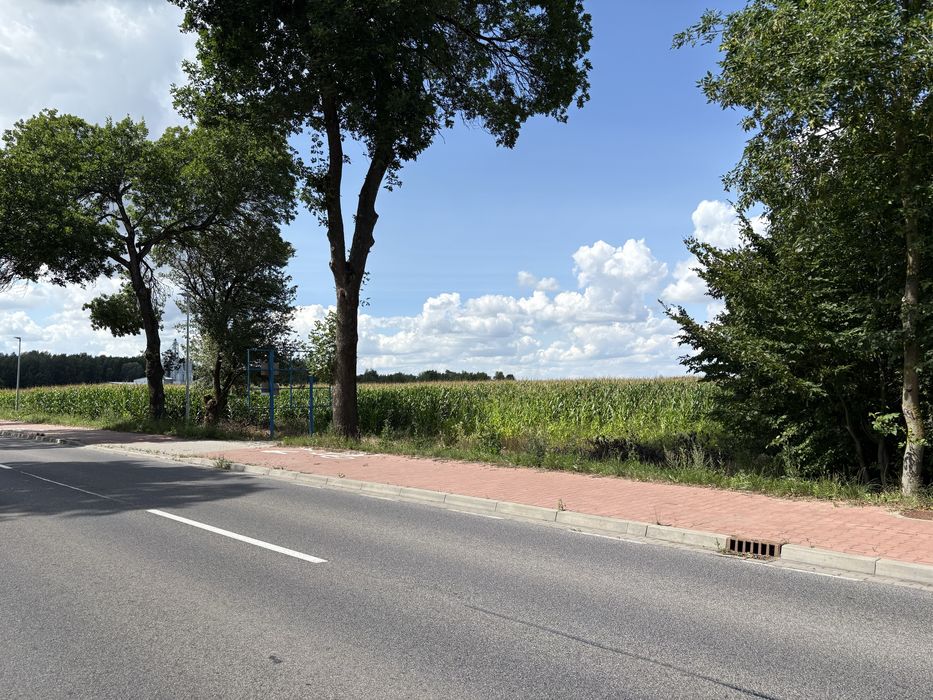 Działka pole Pruszyn przy trasie Siedlce Łosice