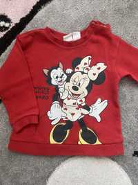 Bluza myszka Minnie 74 h&m