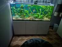 Akwarium 240L +szafka pełne wyposażenie+inne