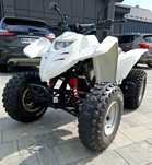 Quad DLY 300 / Honda TRX