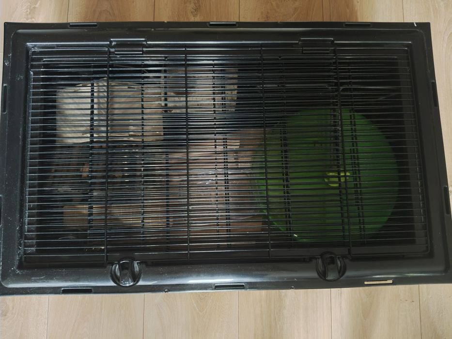 Klatka dla chomika pełne wyposażenie