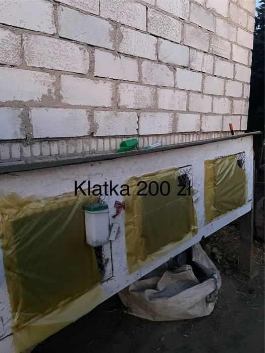 Klatki dla krolików