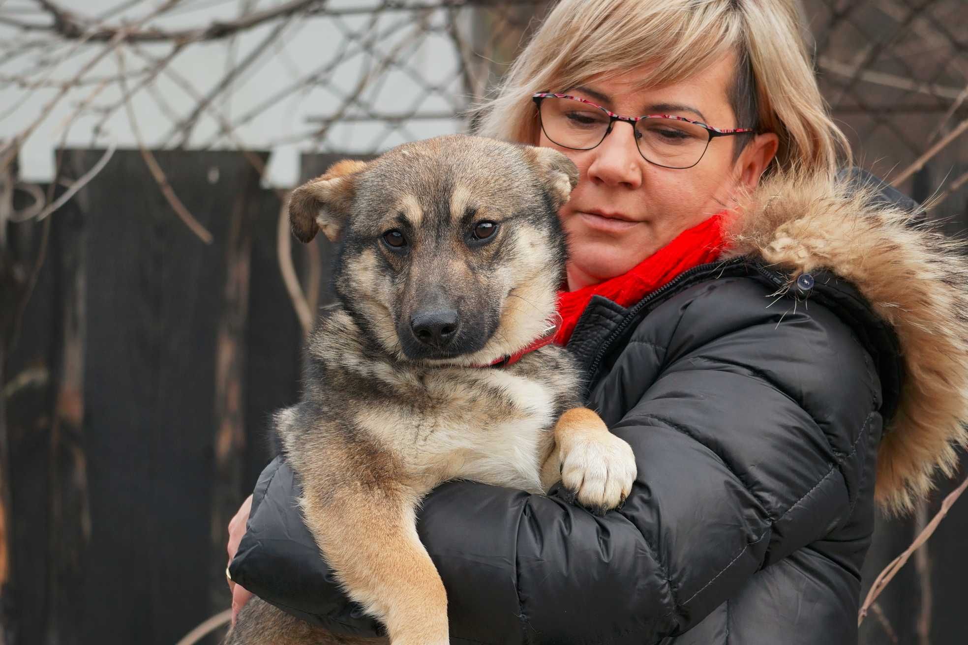 Albin - uroczy, mały psiak o łagodnym serduszku!