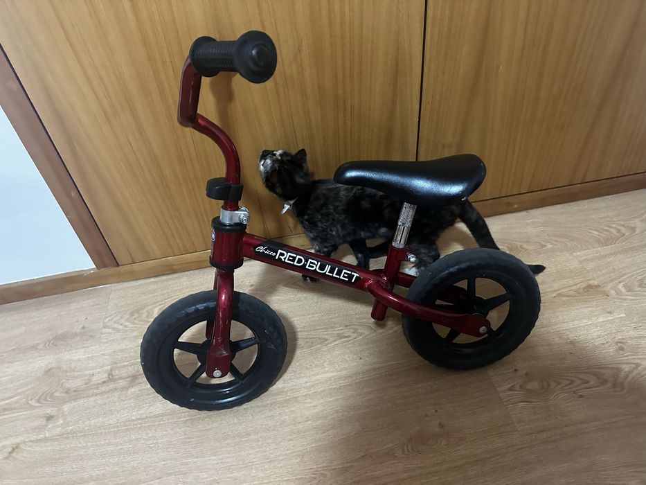 Primeira Bicicleta chicco sem pedais