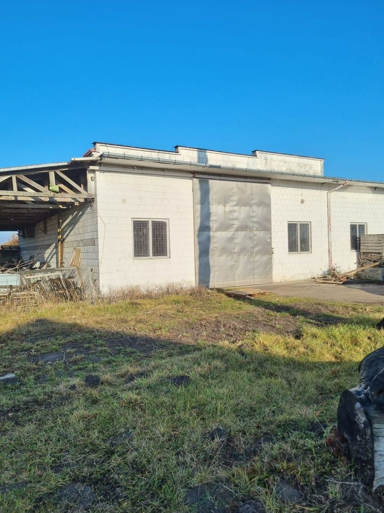 Do wynajęcia, Wynajmę magazyn hala 850m²