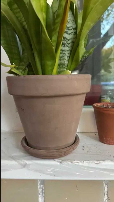 Керамічний горщик з піддоном Deroma 17, 19, 23, 31 см (5 шт)