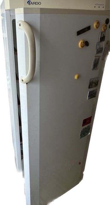 Холодильник однокамерний суцільний Ардо (Ardo)