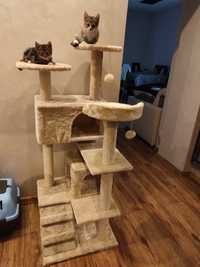 Drapak legowisko wieża dla kota