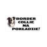 Naklejka na samochód z psem BORDER COLLIE NA POKŁADZIE