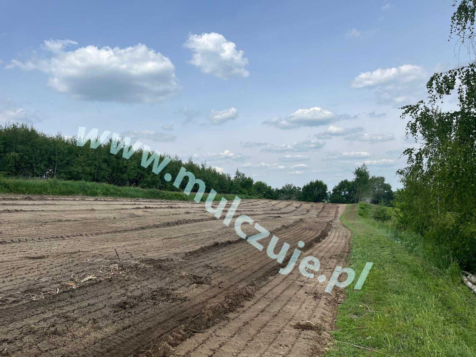 Wycinka drzew Mulczowanie Mulczer Karczowanie rekultywacja działek