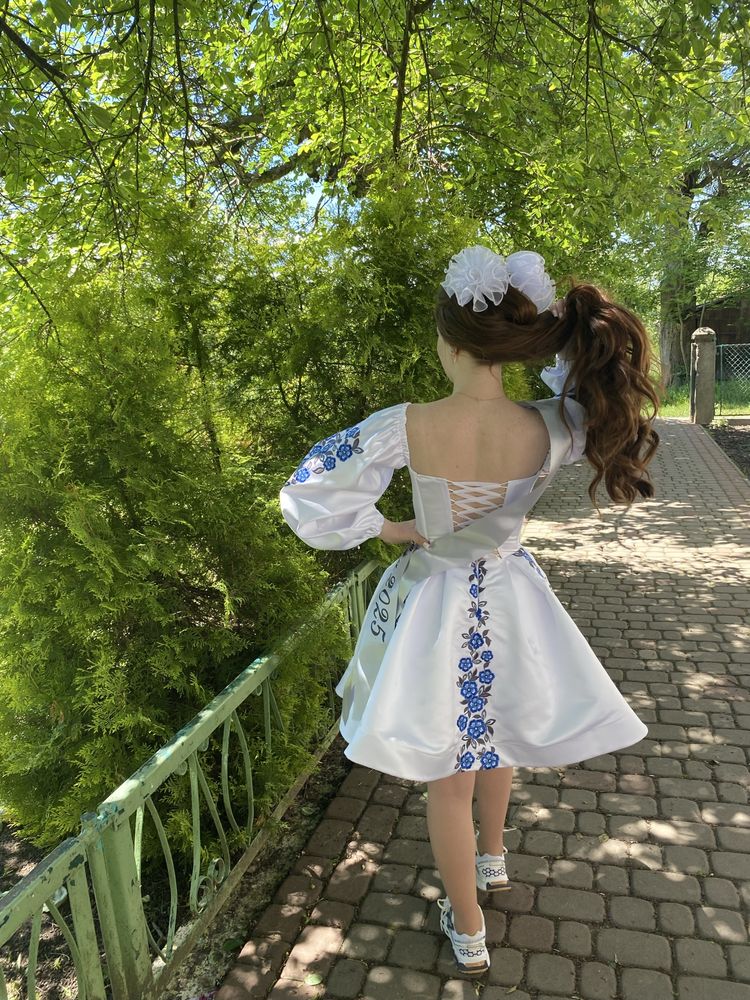 Вишита сукня, вишиванка