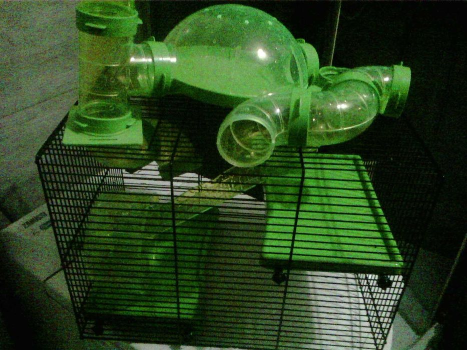 Klatka dla chomika ,gryzonia