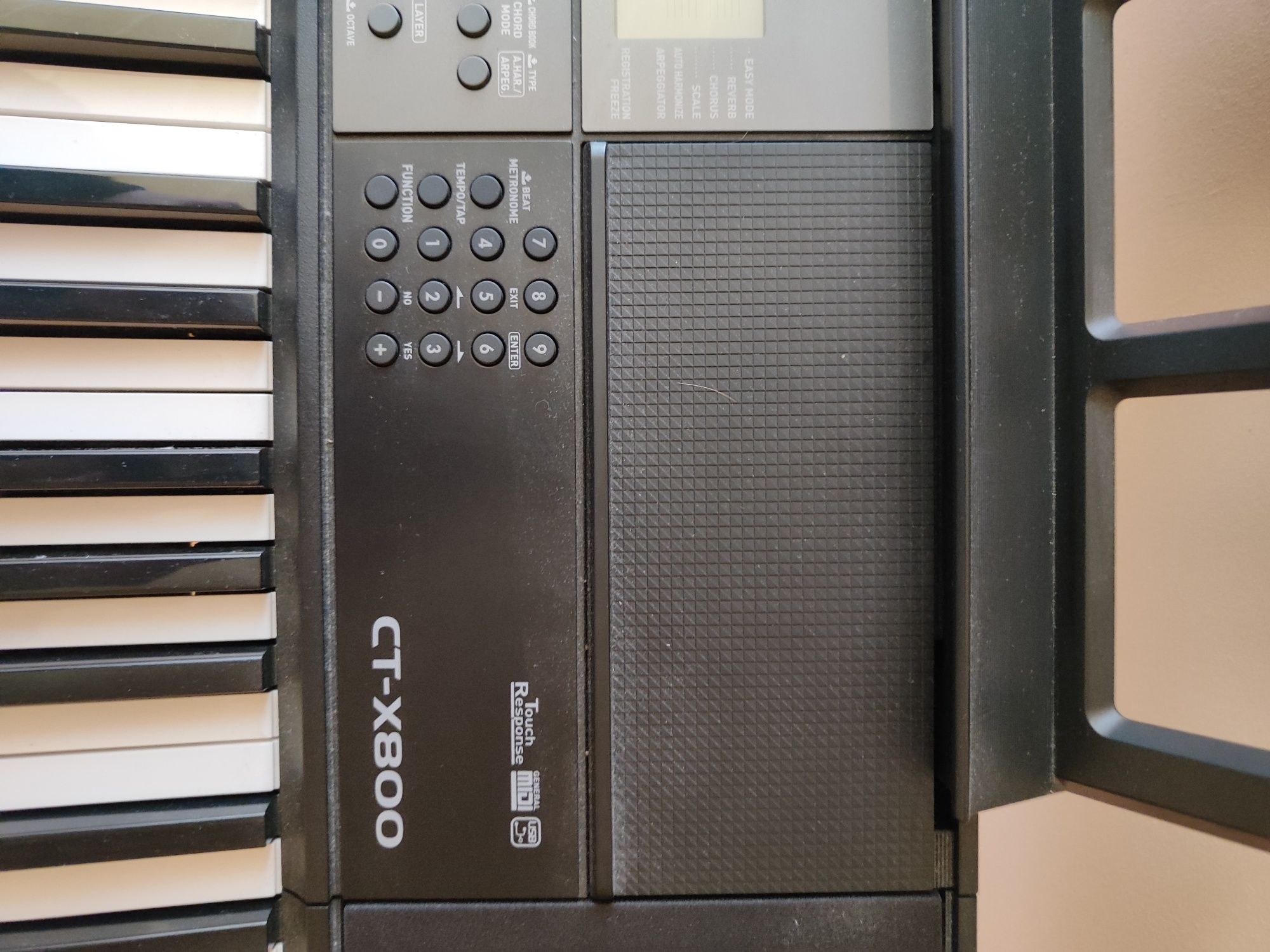 Instrument Casio CTX-800