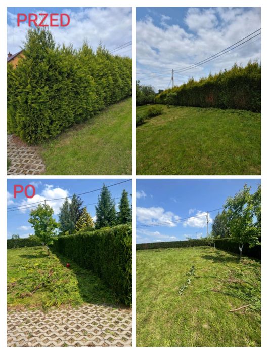 Uslugi ogrocznie wycinka drzew przycinanie Tui rozbiorki