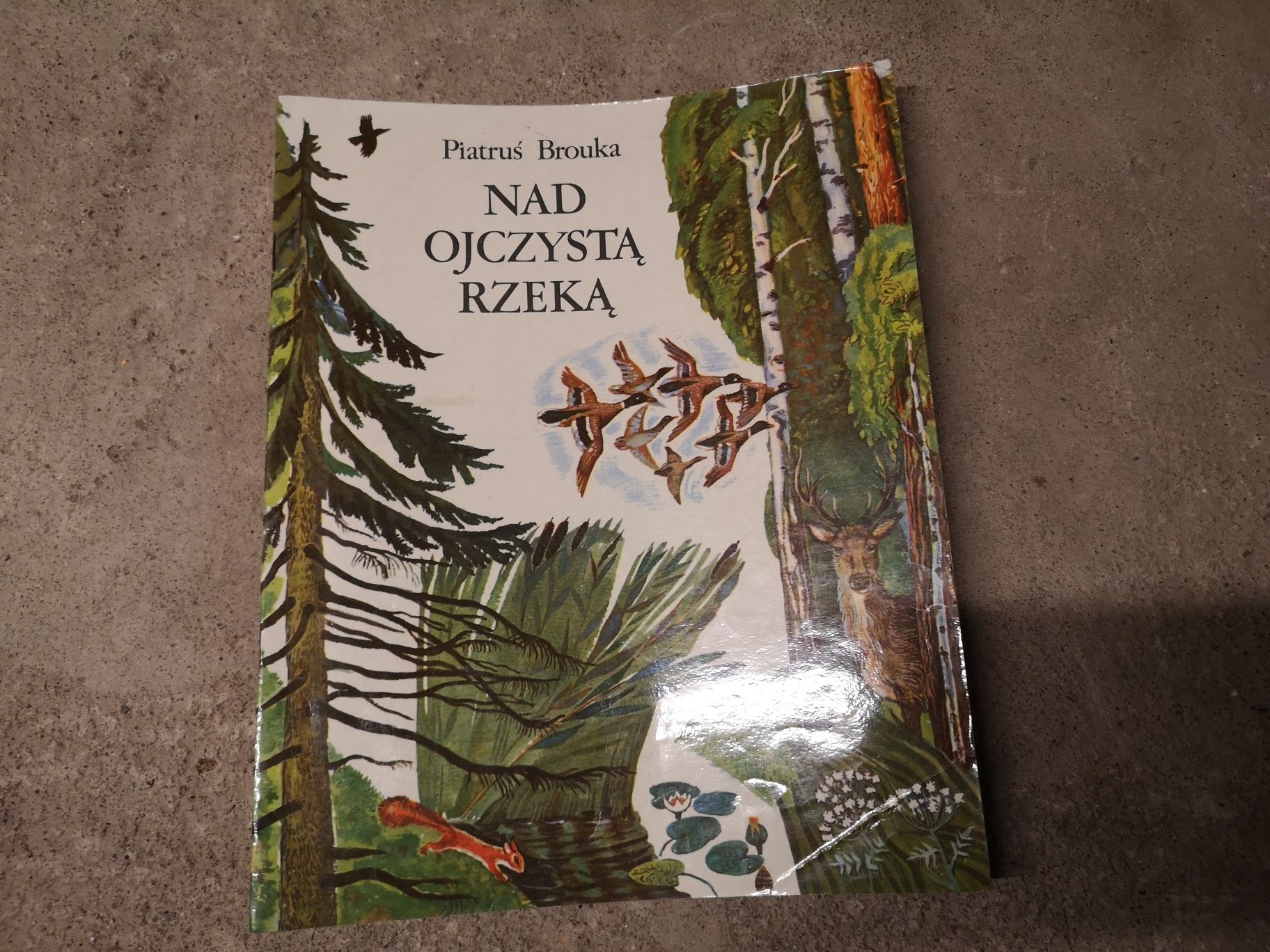 Nad ojczystą rzeką poemat