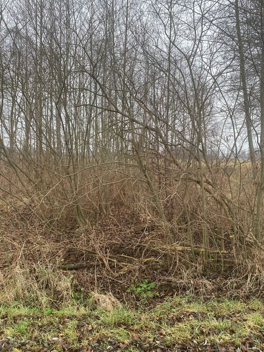 Działka rolna - Małocice gmina Czosnów