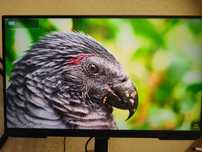 монітор Samsung Odyssey G4 S27BG400EI