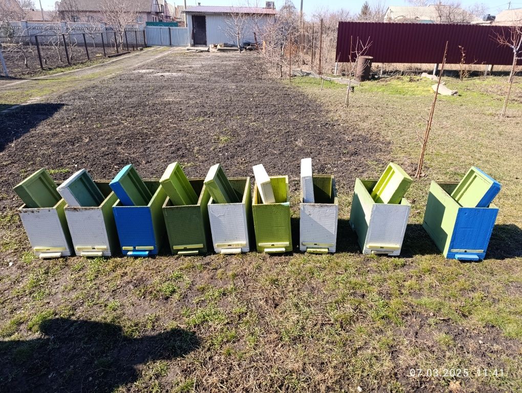 6 ти рамкові вулики та пастки