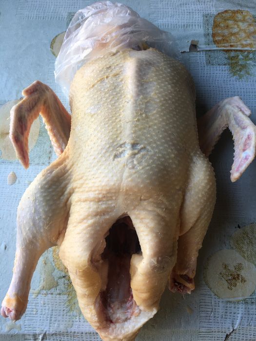 Tuszki kaczek wiejskich / kaczki / koguty / kaczory