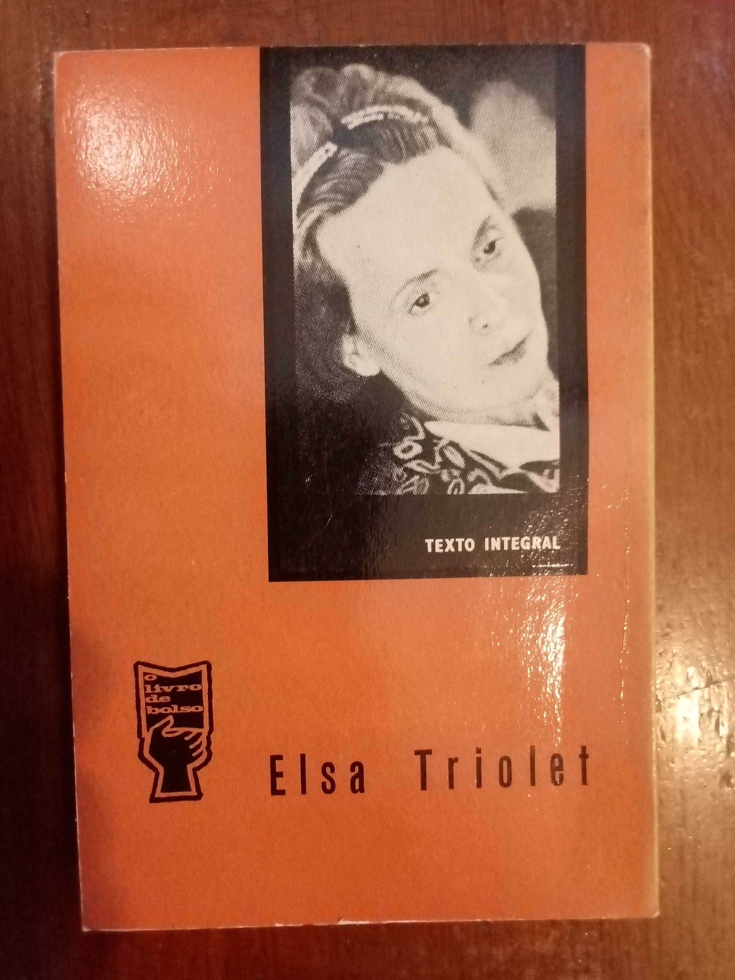 Elsa Triolet - A vida de Anton Tchekov