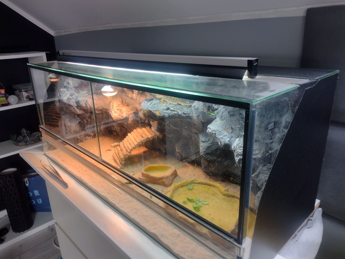 Terrarium dla agamy 100x40x40cm