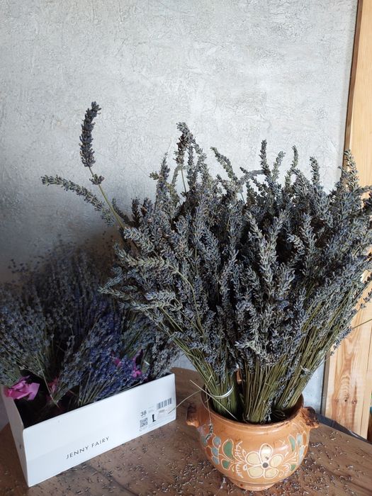 Лаванда букет сушена