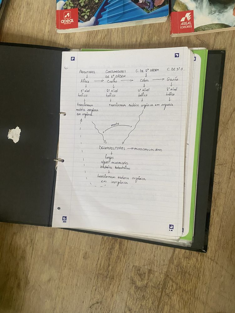 manuais escolares biologia e geologia A secundario e livros de exmaes