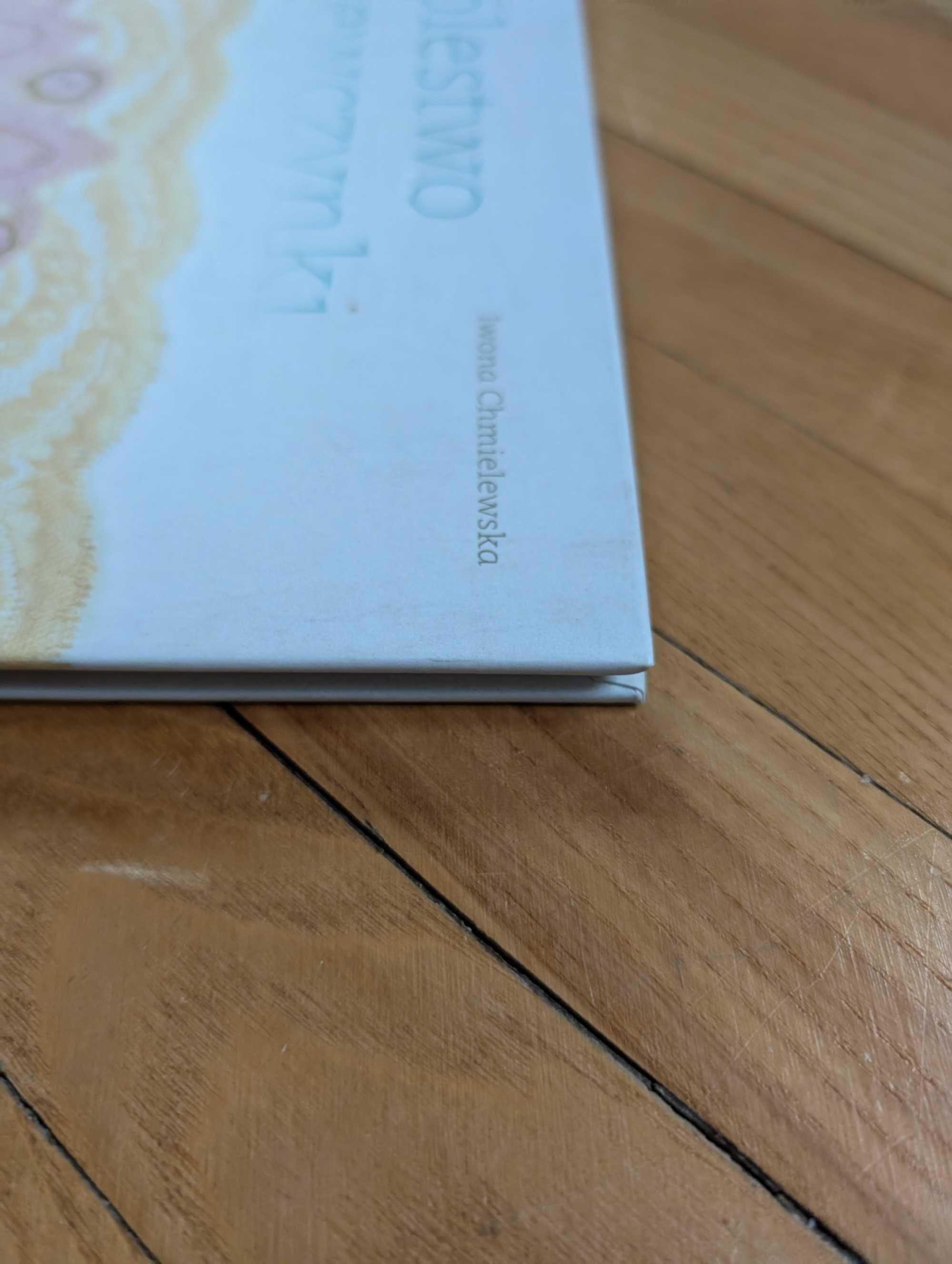 książka Królestwo Dziewczynki stan IDEALNY